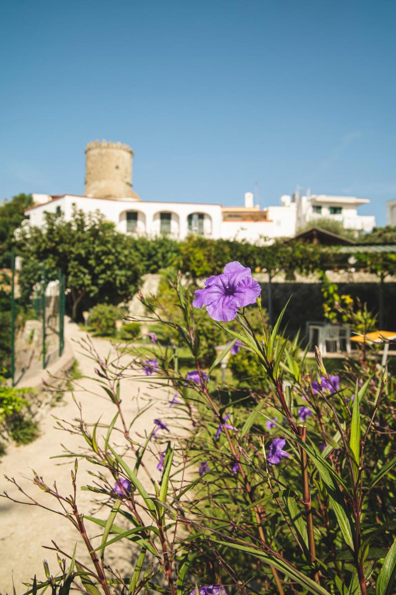 Victoria Park Resort Ischia Bagian luar foto
